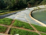 广西益州河道生态植被绿化混凝土整治