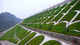 重庆新港区生态植被绿化混凝土护坡效果展示